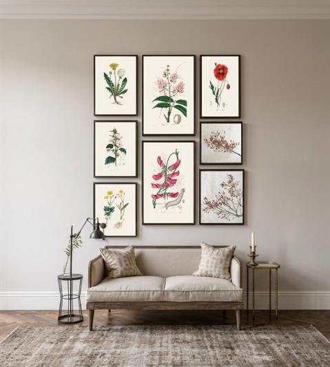 BOTANICAL POETRY
