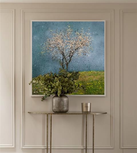 BLOSSOM AFTER RAIN